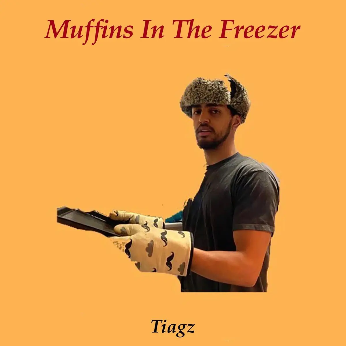 Tiagz - Muffins in The Freezer