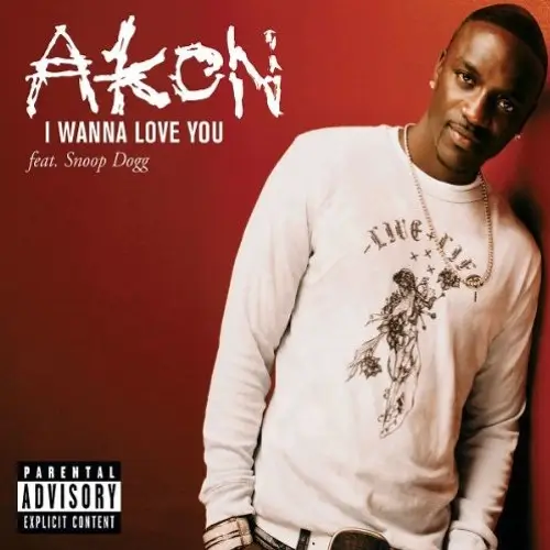 Akon ft. Snoop Dogg - I Wanna Love You