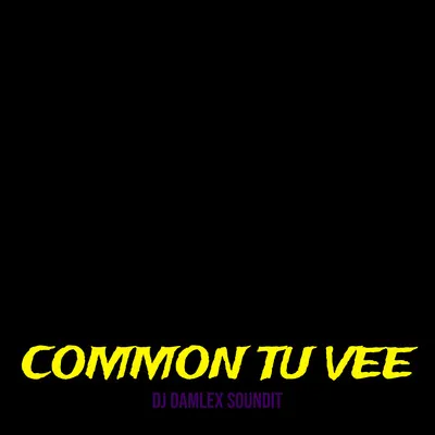 DJ Damlex Soundit - Common tu Vee