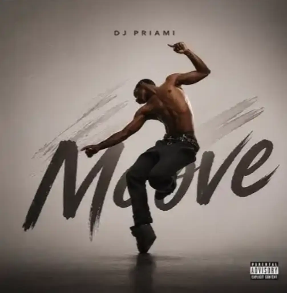 DJ Priami - Moove