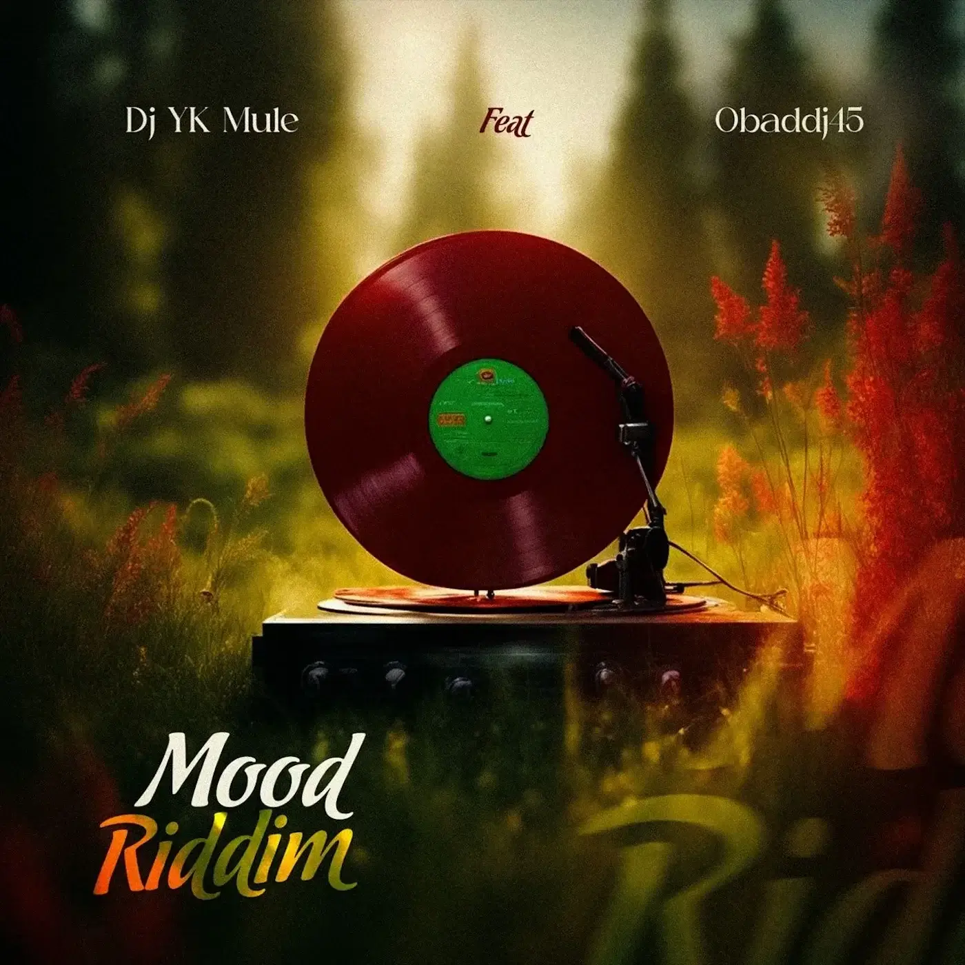 DJ Yk Mule ft. Obaddj45 - Mood Riddim