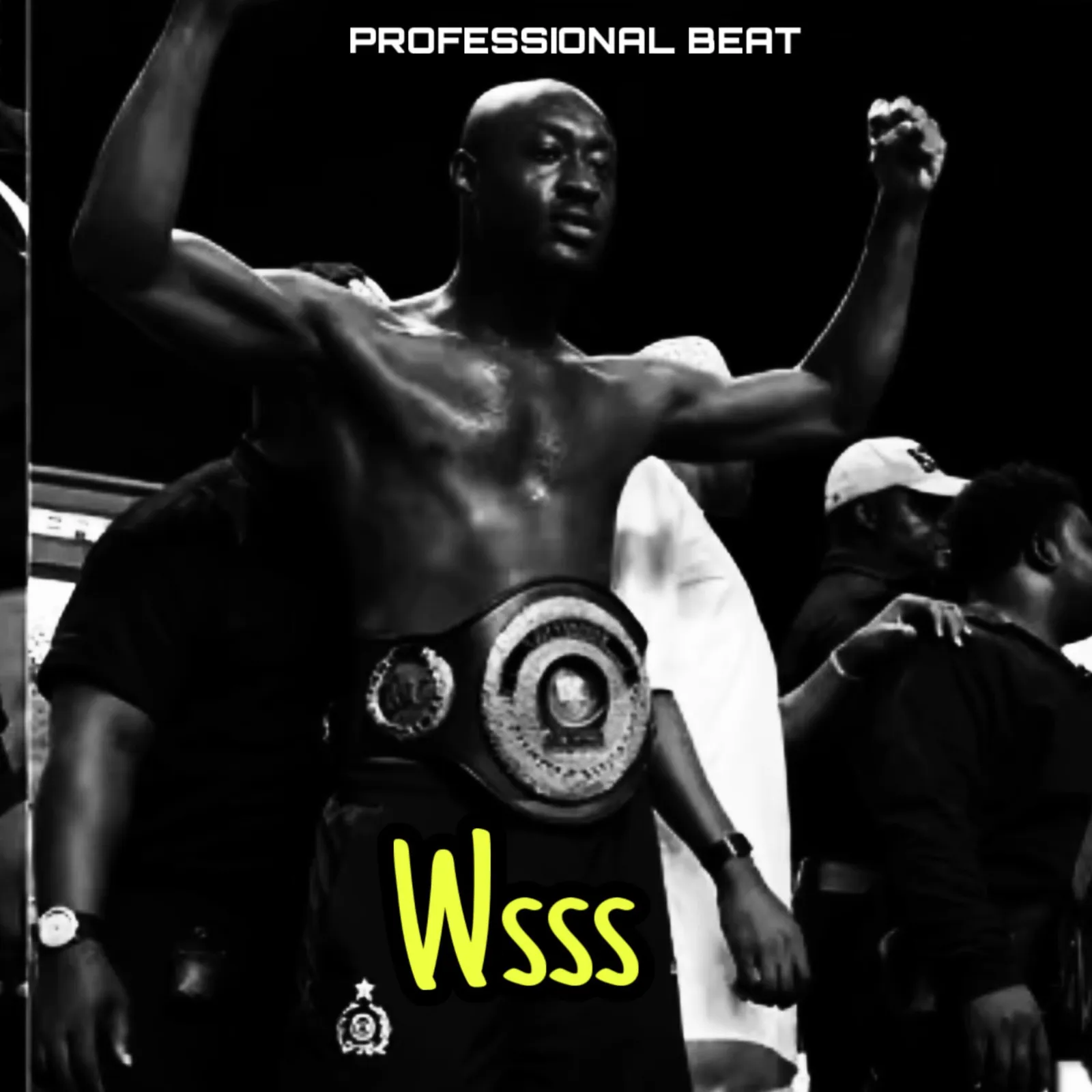 Professional Beat - Wsss