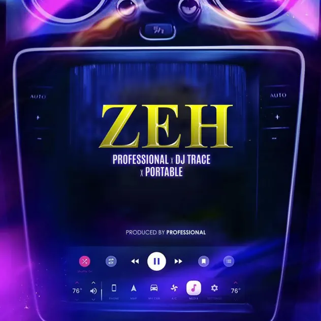 Professional Beat - Zeh ft. DJ Trace & Portable