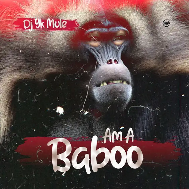 DJ YK Mule Am A Baboo